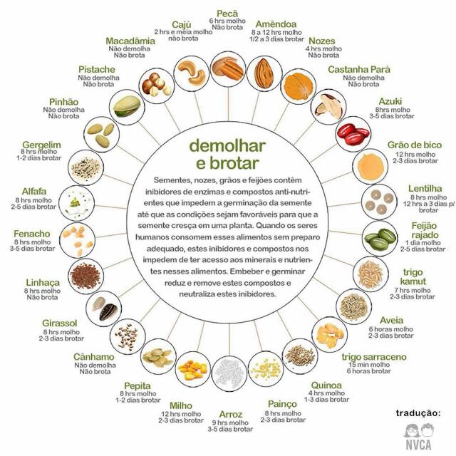 Demolhar e brotar em portugues