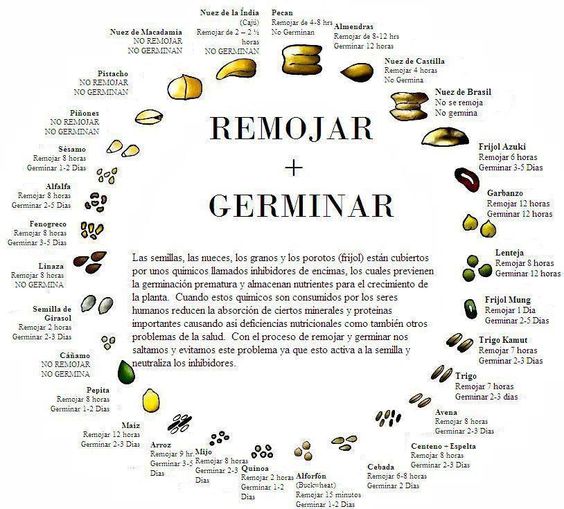 Remojarygerminar_espanol